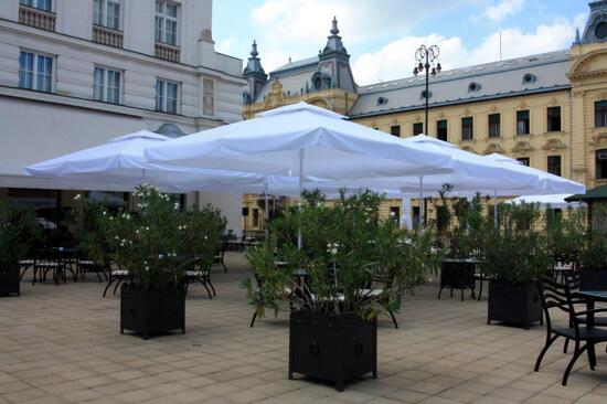 LS350 bijeli obrađena