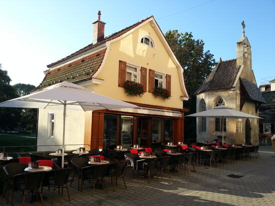 LS350 bijeli obrađena